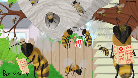 Red Bees