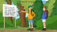 The Forest